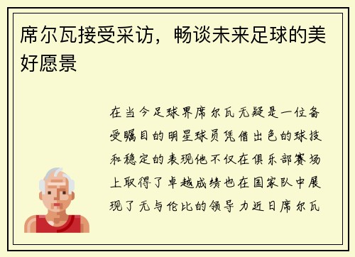 席尔瓦接受采访，畅谈未来足球的美好愿景