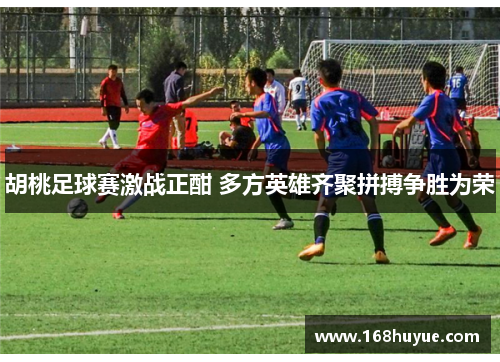 胡桃足球赛激战正酣 多方英雄齐聚拼搏争胜为荣